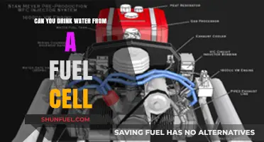 Can You Safely Drink Water from a Fuel Cell?