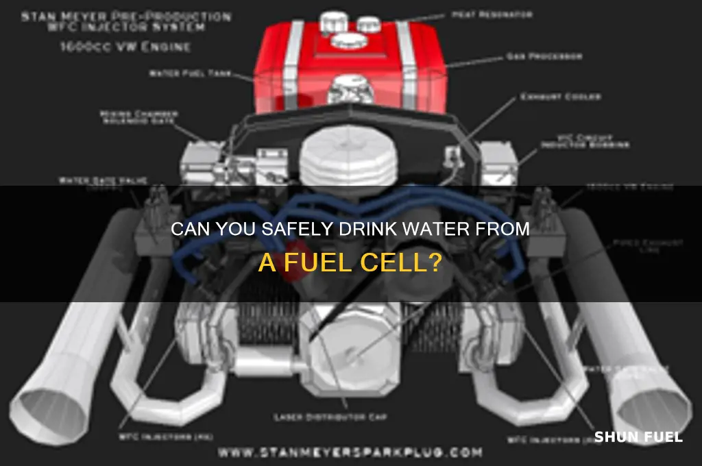 can you drink water from a fuel cell