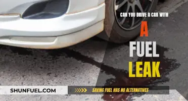 Driving with a Fuel Leak: Risks and Solutions