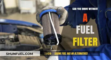 Fuel Filter: Essential or Unnecessary?