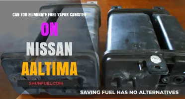 Eliminating Fuel Vapor Canister in Nissan Altima: Is It Possible?