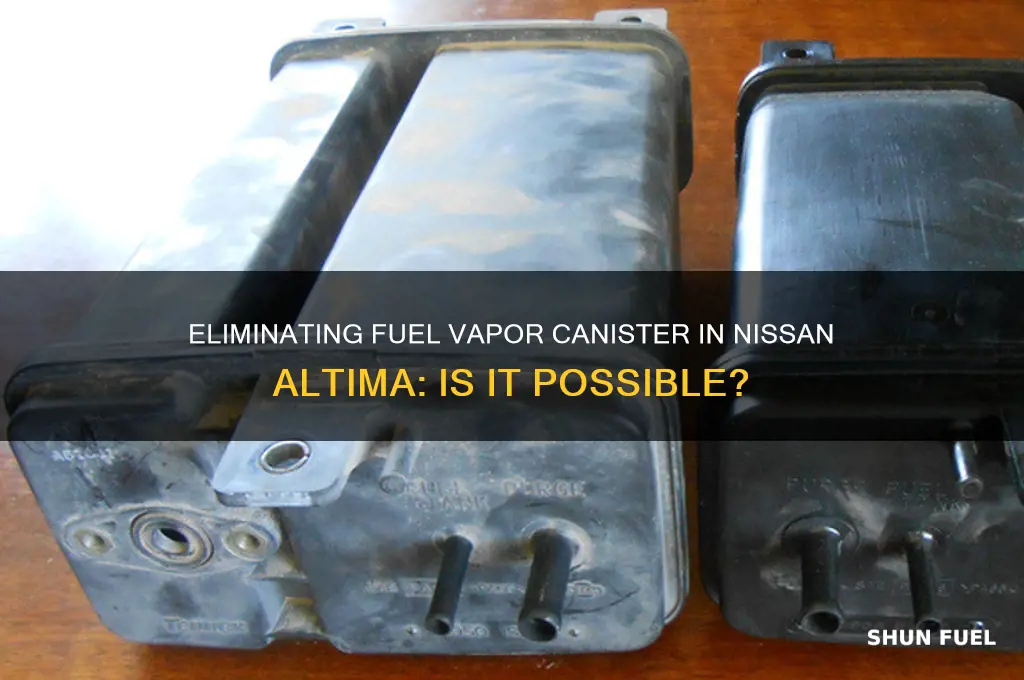 can you eliminate fuel vapor canister on nissan aaltima