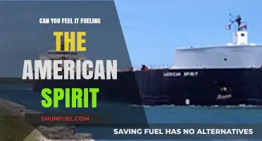 Fueling the American Spirit: Uniting Passions, Driving Dreams, Igniting Hope