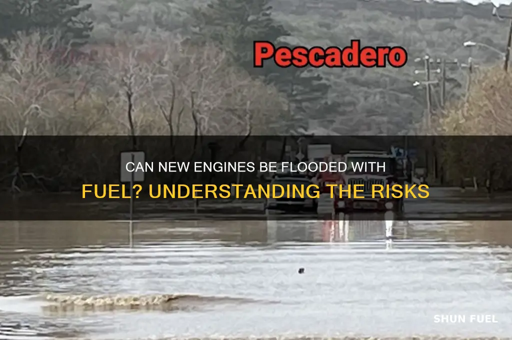 can you flood new engine wit fuel