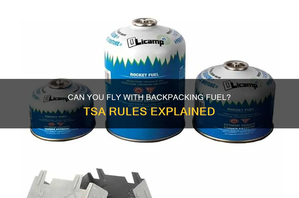 can you fly with backpacking fuel