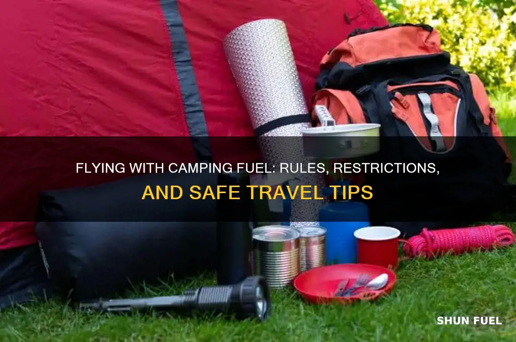 can you fly with camping fuel