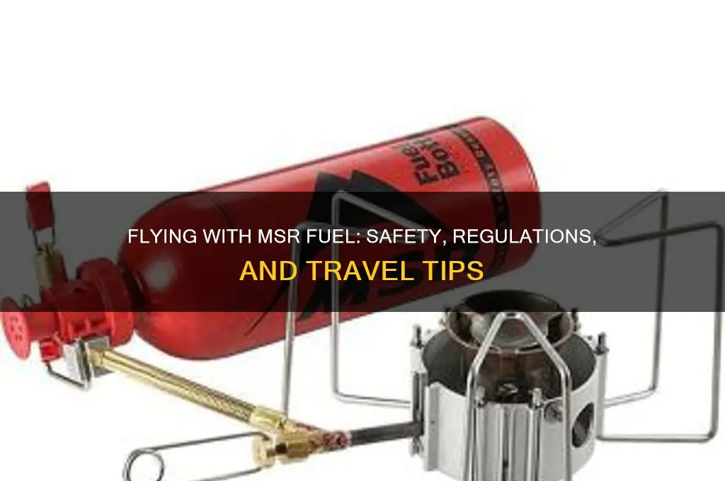 can you fly with msr fuel