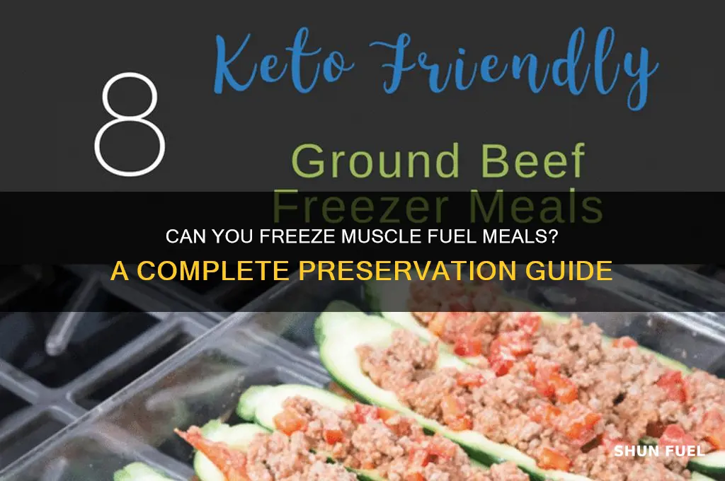 can you freeze muscle fuel meals