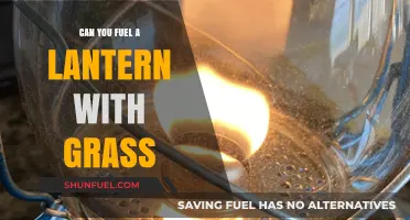 Fuel Your Lantern with Grass: A Creative Survival Hack