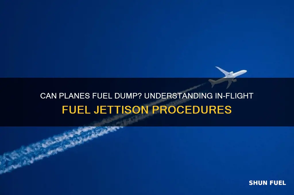 can you fuel dump froma plane
