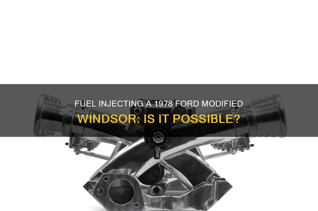can you fuel inject a 1978 ford modified windsor