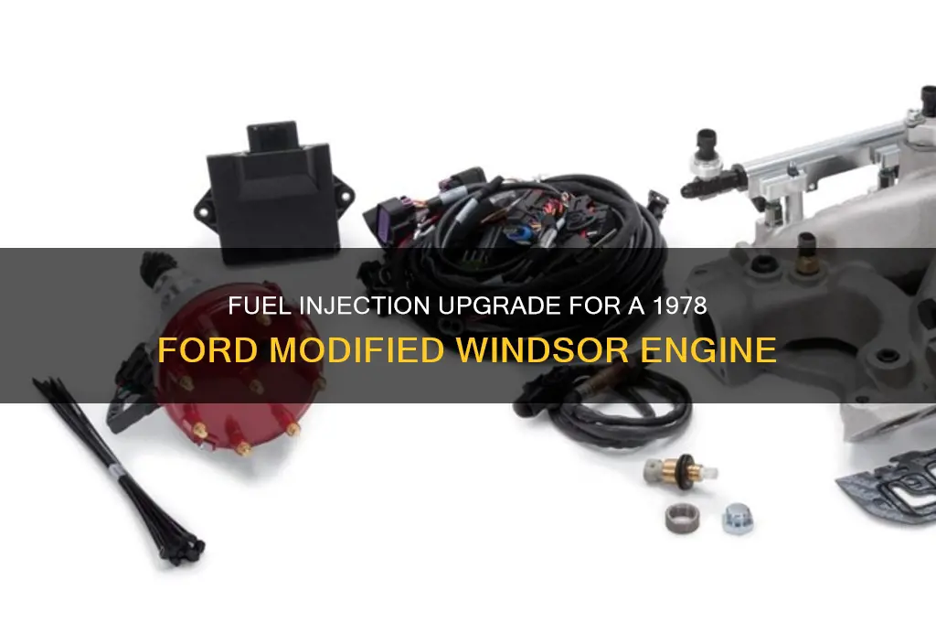 can you fuel inject a 1978 ford modified winsor