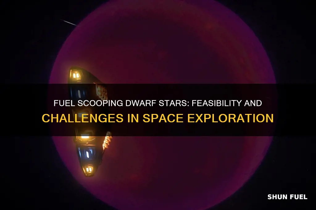 can you fuel scoop dwarf stars
