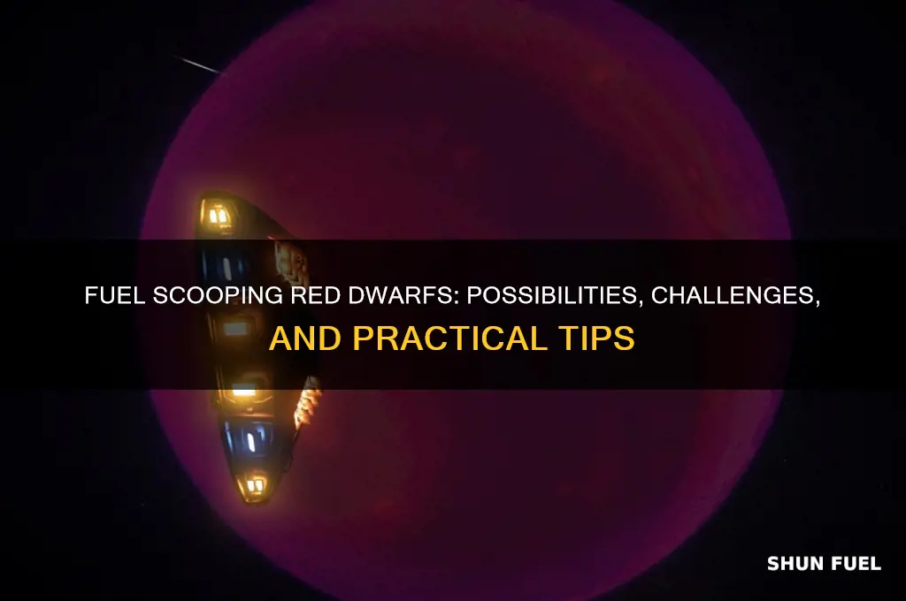 can you fuel scoop red dwarf