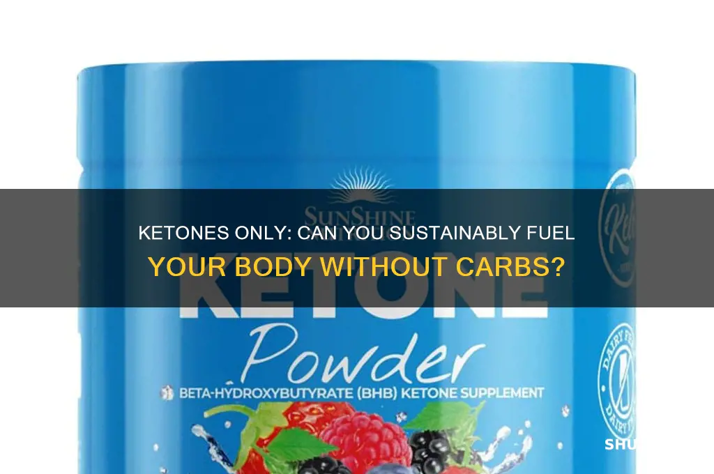 can you fuel your body on ketones only