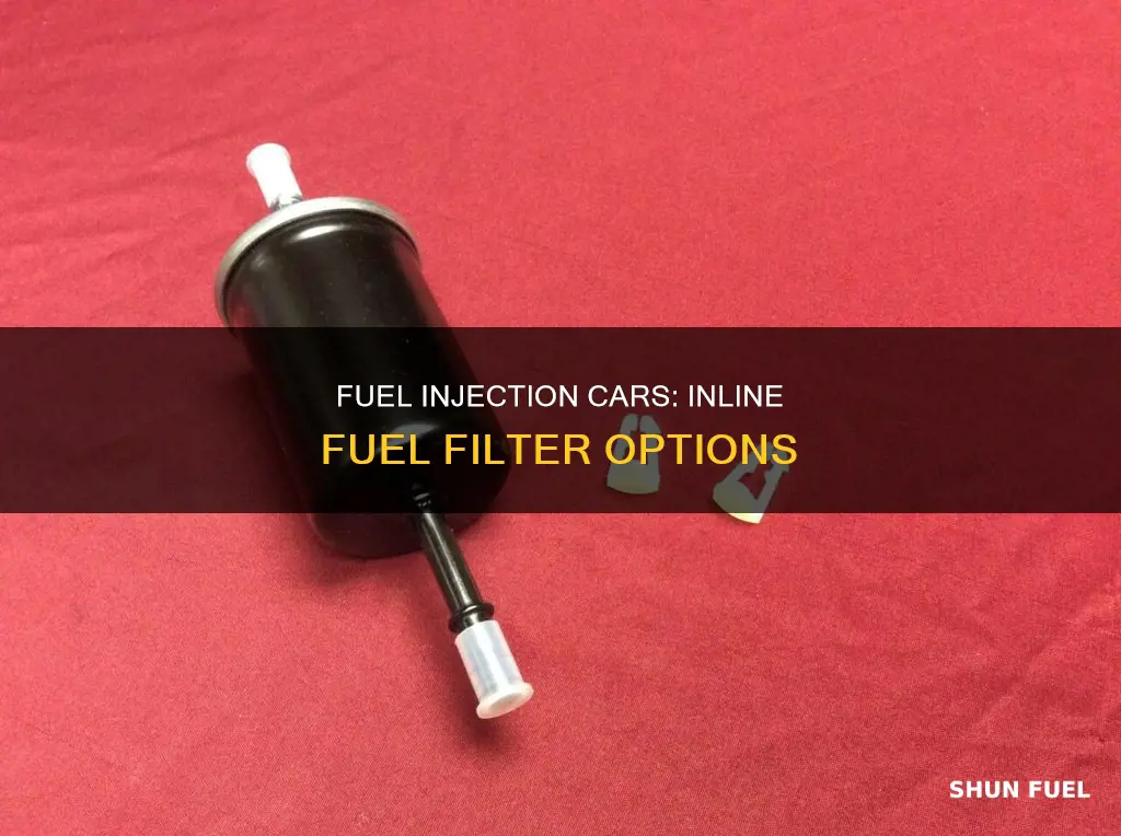 can you generic inline fuel filter on fuel injection cars