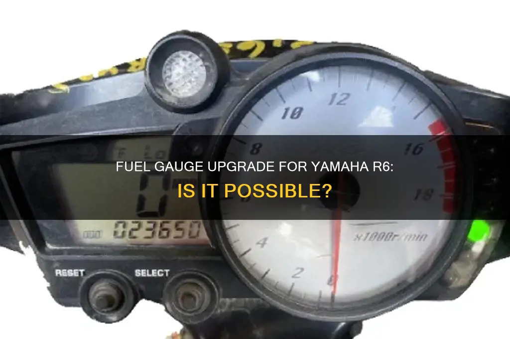 can you get a fuel gauge for a r6