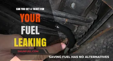 Fuel Leak Ticket: Legal Consequences and Prevention Tips for Drivers