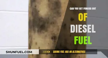 How to Remove Fungus from Diesel Fuel?
