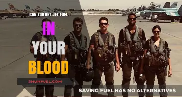 Jet Fuel in Blood: Myth, Reality, and Health Implications Explained