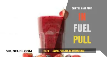 Fruit in Fuel Pull: Balancing THM Guidelines for Optimal Results
