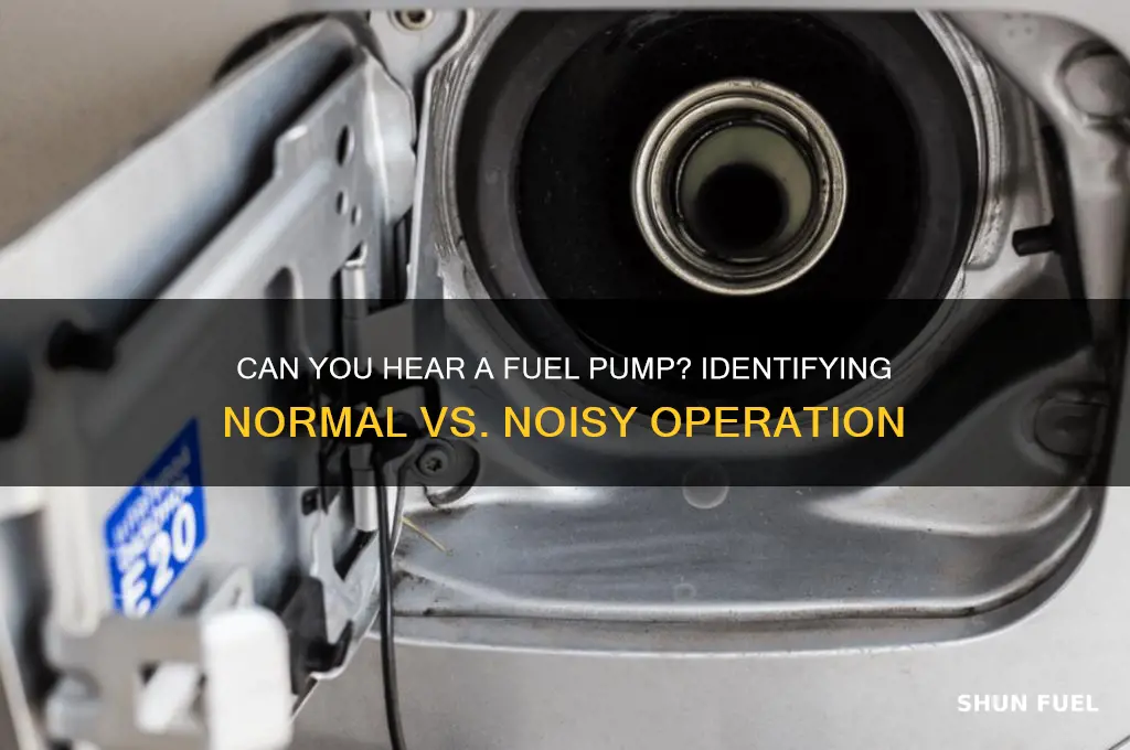 can you hear a fuel pump