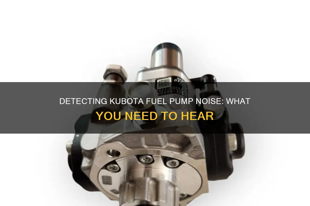 can you hear kubota fuel pump