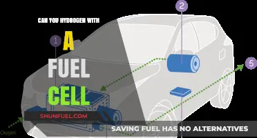 Hydrogen Fuel Cells: Powering the Future with Clean Energy