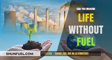 Life Without Fuel: A Sustainable Future or Distant Dream?