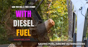 Destroying Tree Stumps: Diesel Fuel as a Weapon