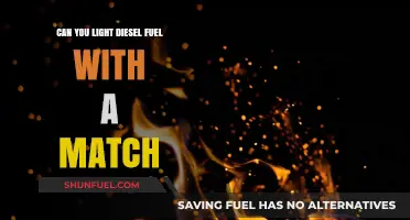 Lighting Diesel: Will It Light with a Match?