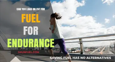 Unlocking Endurance: Fat as Fuel for Long-Distance Performance