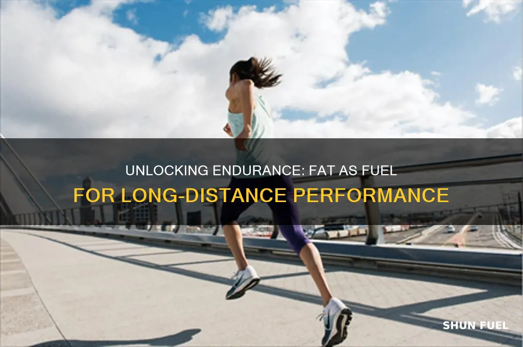 can you load on fat for fuel for endurance
