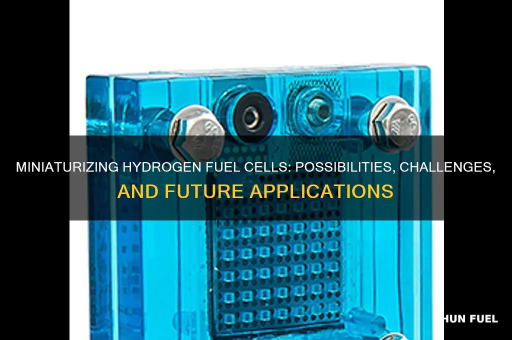can you make a hydrogen fuel cell small