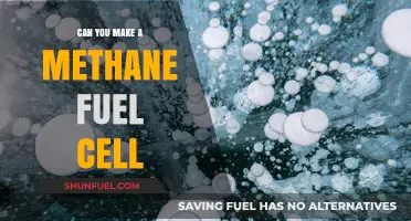 Creating Methane Fuel Cells: A Sustainable Energy Alternative Explained