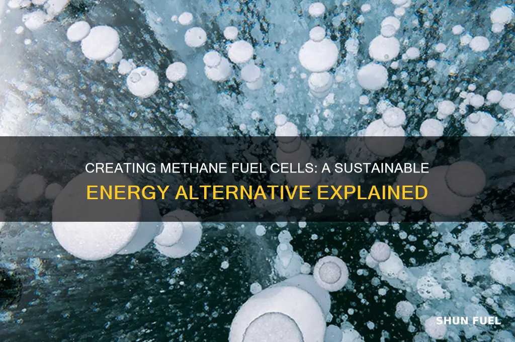 can you make a methane fuel cell