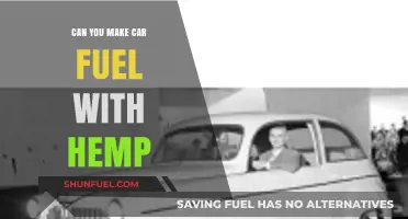 Hemp Fuel: A Sustainable Alternative to Traditional Car Gasoline?