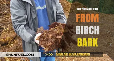 Birch Bark to Fuel: Unlocking Nature's Hidden Energy Potential