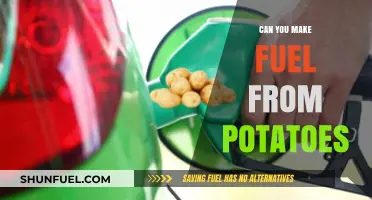 Turning Spuds into Fuel: Exploring Potato-Based Energy Alternatives