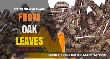 Turning Oak Leaves into Fuel Pellets: A Sustainable Energy Solution