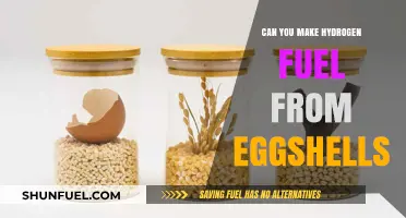 Turning Eggshells into Hydrogen Fuel: A Sustainable Energy Breakthrough