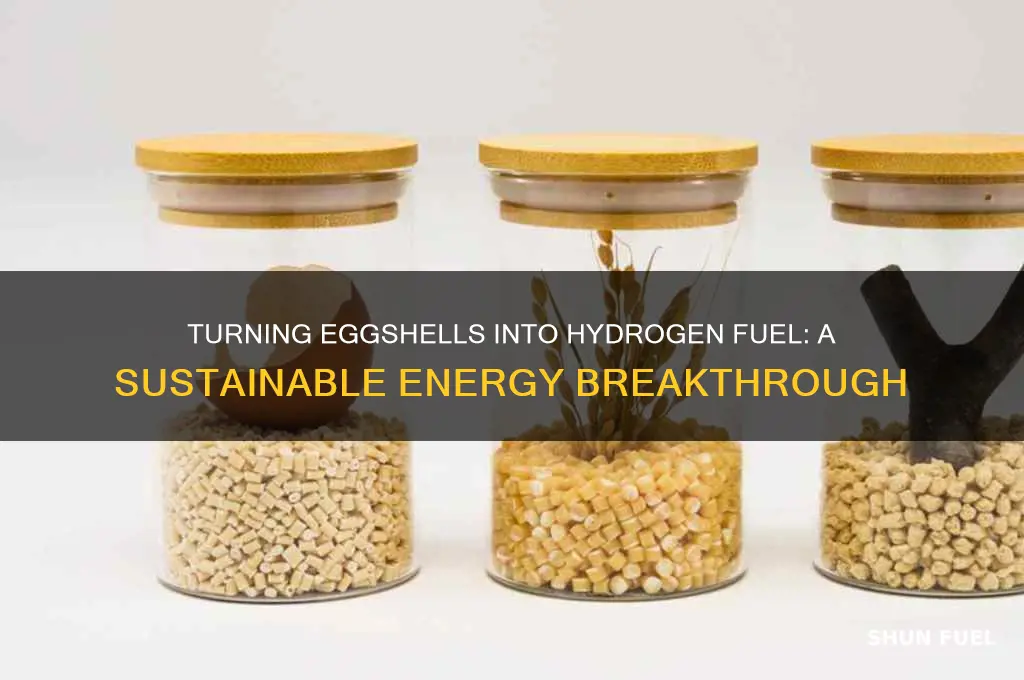 can you make hydrogen fuel from eggshells