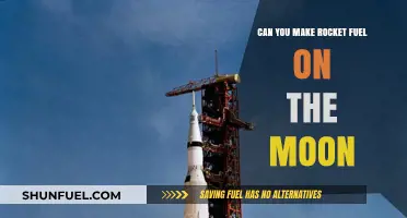Lunar Rocket Fuel: Feasibility of Producing Propellant on the Moon