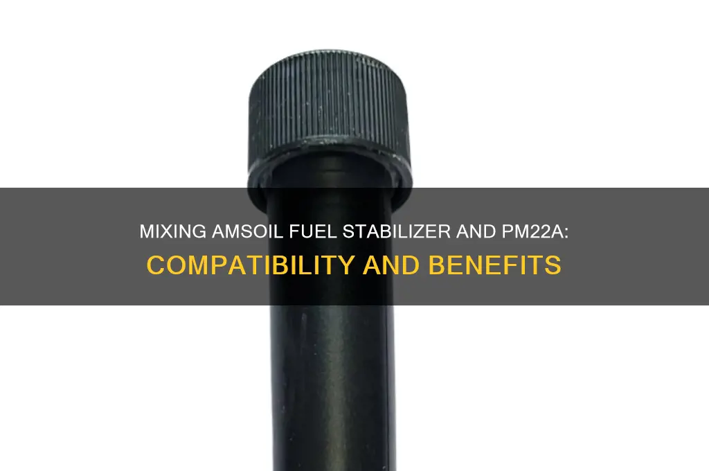 can you mix amsoil fuel stabilizer and performance improver pm22a