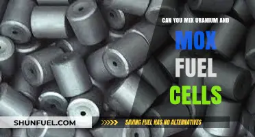 Mixing Uranium and MOX Fuel Cells: Risks, Feasibility, and Safety Concerns