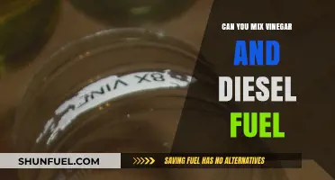 Combining Vinegar and Diesel: Safe or Not?