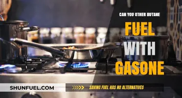 Can You Substitute Butane Fuel with GasOne? A Comprehensive Guide