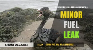 Minor Fuel Leak: Will It Fail Your Georgia Emissions Test?