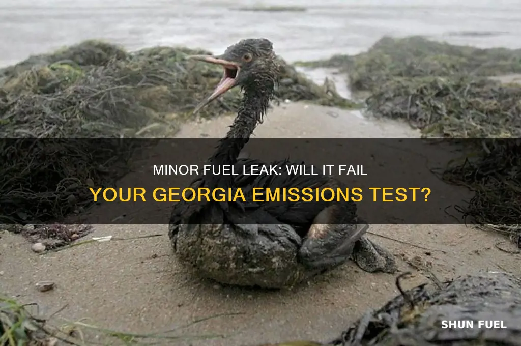 can you pass ga emissions with a minor fuel leak