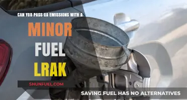 Minor Fuel Leak: Can Your Vehicle Pass GA Emissions Test?